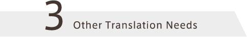 Other Translation Needs